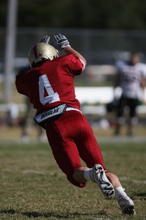 AYX GAME-德甲球队视频分析辅助防守站位调整的实证研究，德甲防守最好的球队