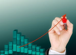 爱游戏登录入口-运动项目职业路径设计与发展研究，运动职业化